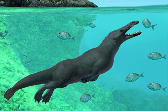 Las ballenas tenían cuatro patas hace 43 millones de años