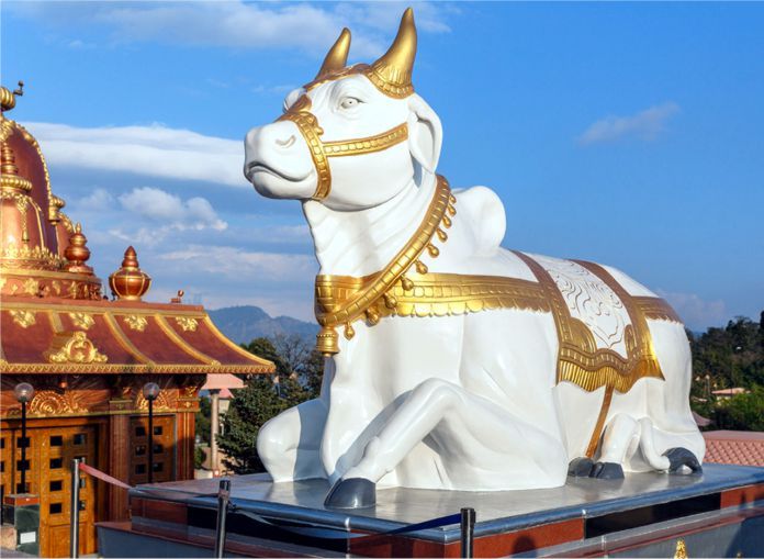 Estatua sagrada de la vaca en Namchi. Sikkim, India.