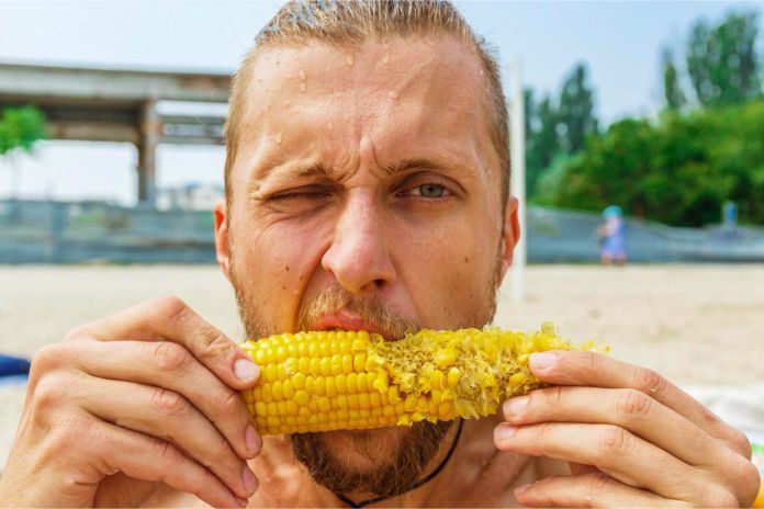 Por qué los granos de maíz salen enteros en nuestra caca
