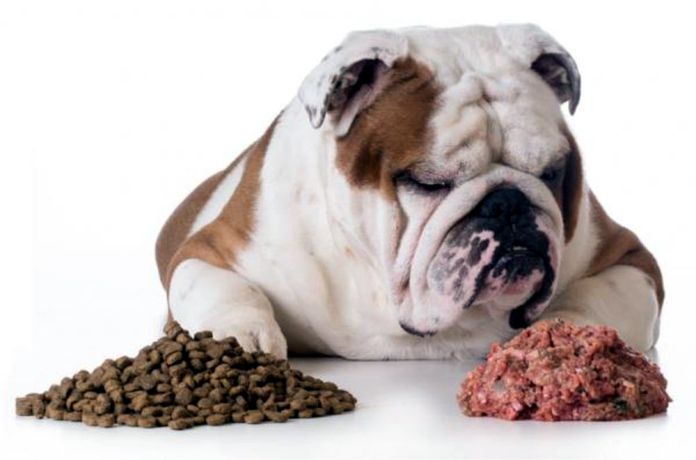 Comida para humanos vs. croquetas para perros