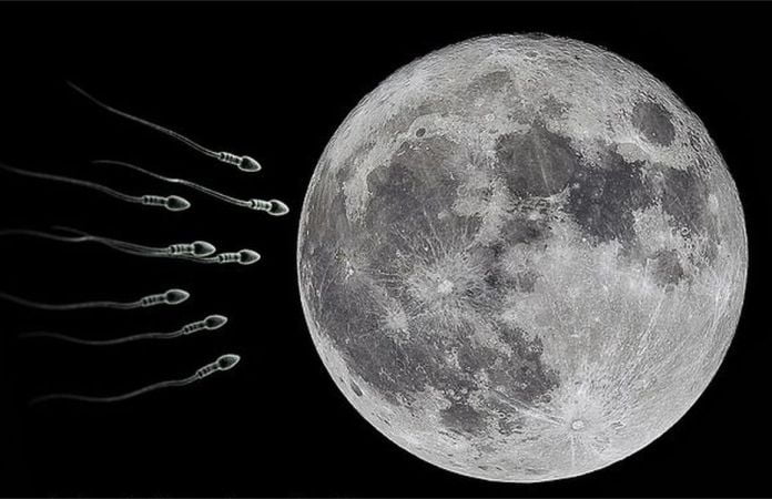 Por qué los científicos quieren enviar 6,7 millones de muestras de esperma a una bóveda en la Luna