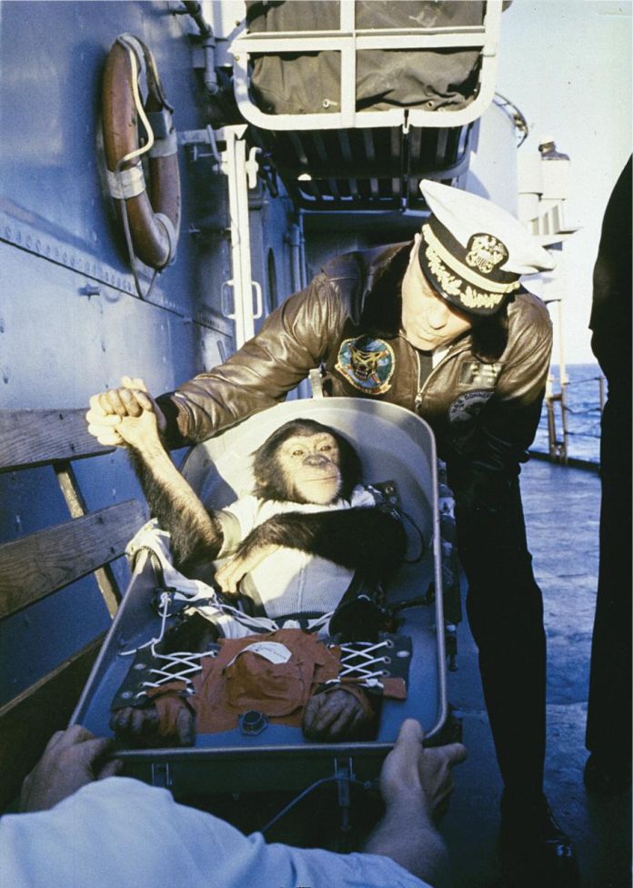first chimp in space 1961