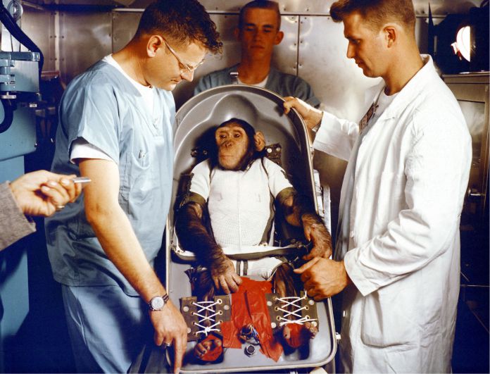 La historia de Ham, el primer chimpancé que voló al espacio