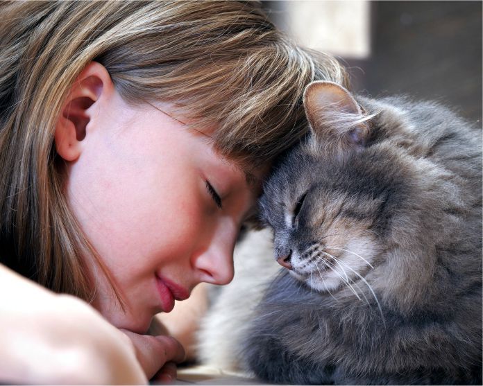 Parpadear lentamente… la clave para tener una mejor relación con tu gato