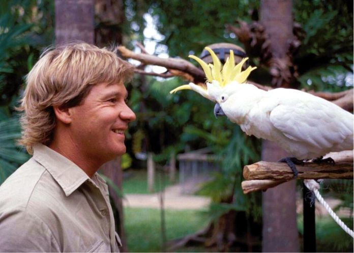 El único animal que aterrorizaba a Steve Irwin, el cazador de cocodrilos