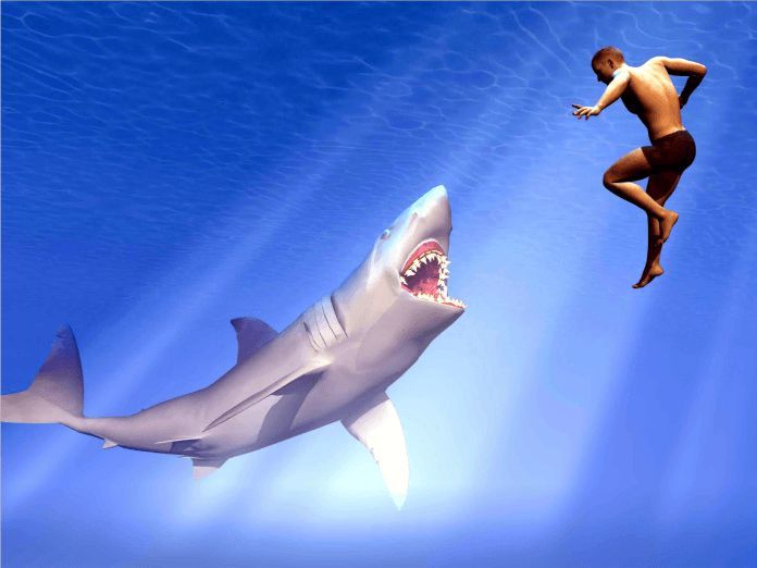 Esto es lo que debes hacer para sobrevivir a un ataque de tiburón, según un experto