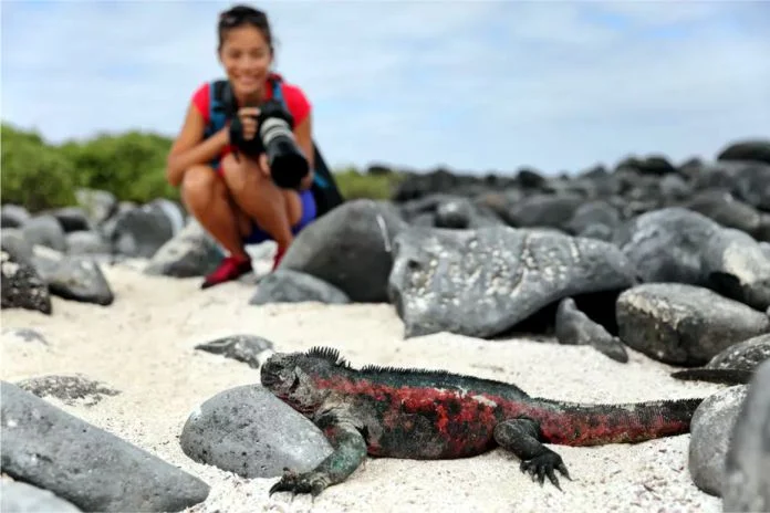 Trata solo tomar fotos de animales que habiten en su ambiente natural