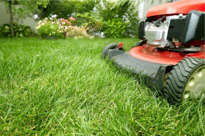 Un trasero con pelos podría considerarse antiestético