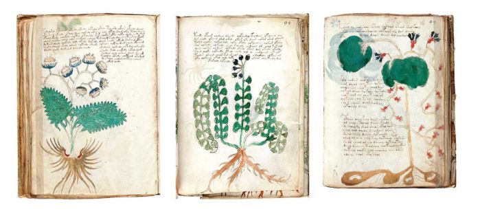 El manuscrito Voynich