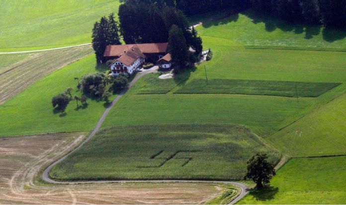 Esvástica en campos alemanes