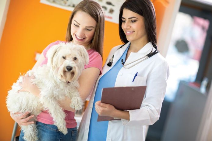 Planes de salud para tu clínica veterinaria