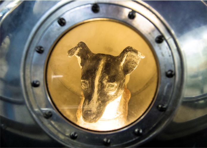 El viaje sin regreso de Laika, la perra soviética sacrificada por la carrera espacial