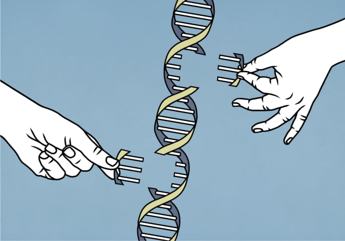 El código del genoma humano por fin está completo