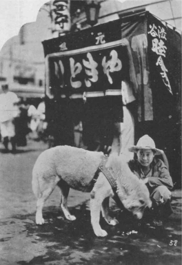 Los visitantes venían de todas partes para conocer a Hachikō, un símbolo de lealtad.