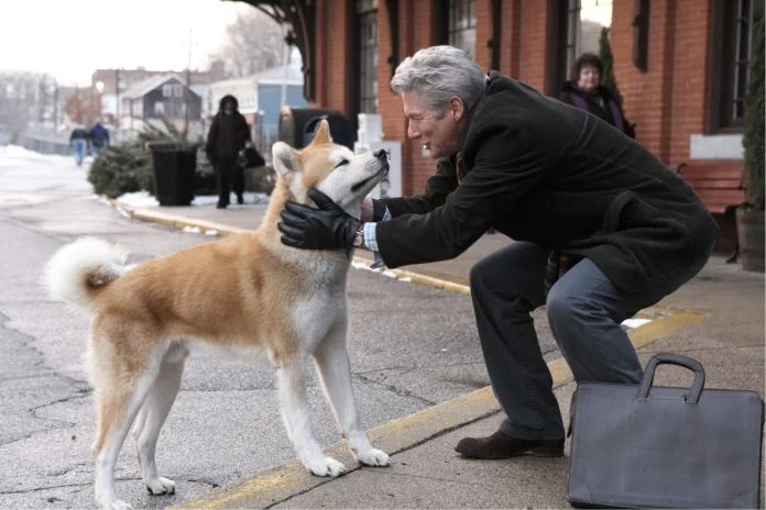 Siempre a tu lado, Hachiko