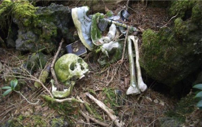 Rumores, mitos y leyendas del Bosque de los Suicidios