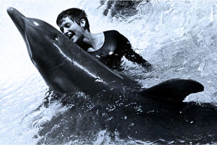 Margaret Howe Lovatt y sus encuentros íntimos con un delfín