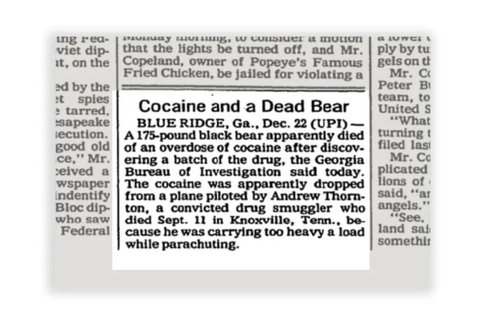 La historia que inspiró “Cocaine Bear”