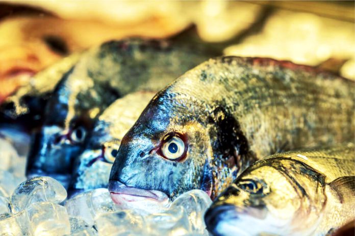 El cambio climático podría hacer que la comida de mar sea menos nutritiva