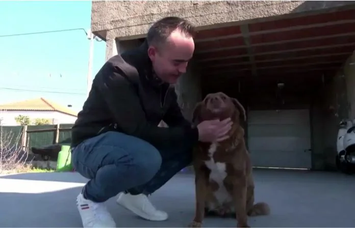 Razas caninas con mayor longevidad