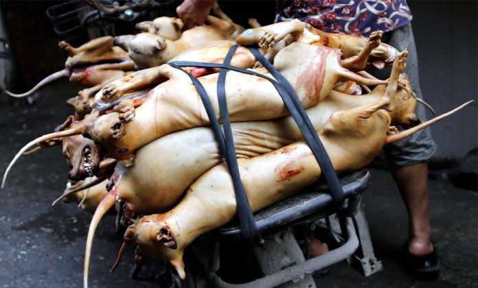 Por qué se consume carne de perro en algunas regiones