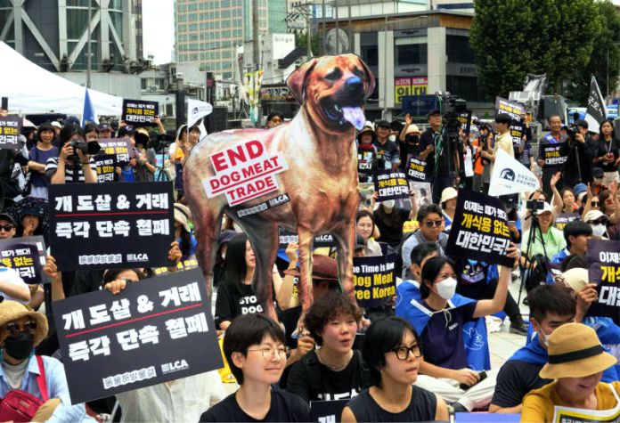 Prohíben comer carne de perro en Corea del Sur